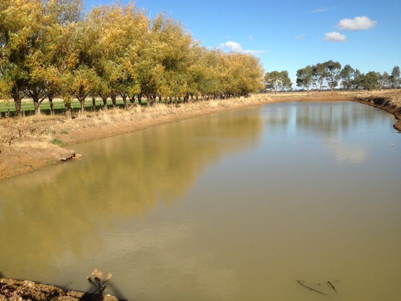 1325 Echuca Road, Undera VIC 3629