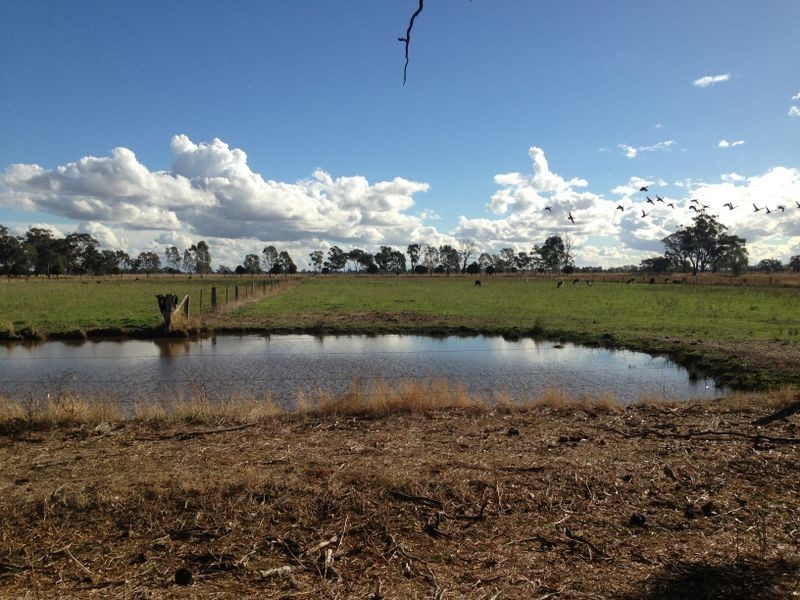 1325 Echuca Road, Undera VIC 3629