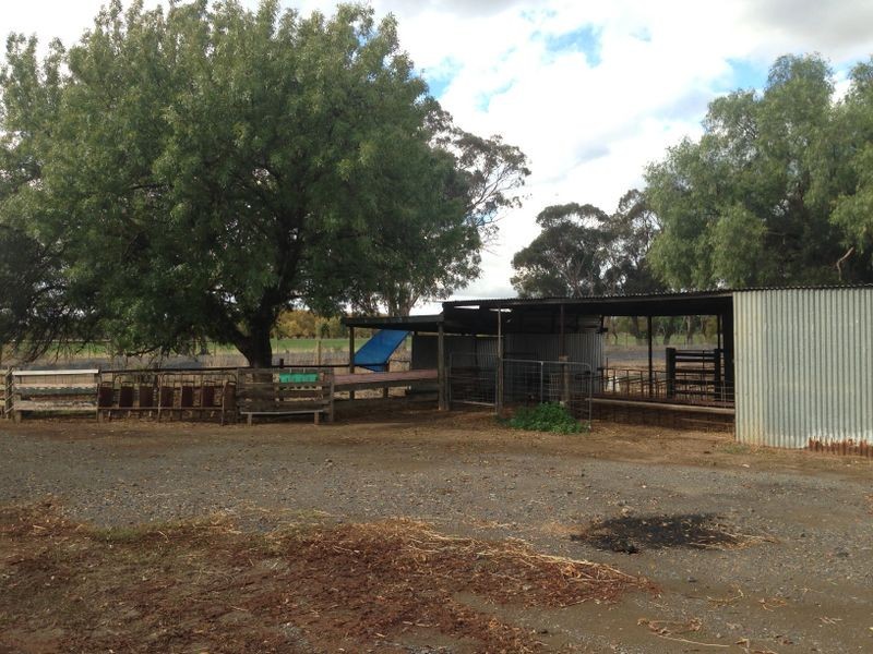 1325 Echuca Road, Undera VIC 3629