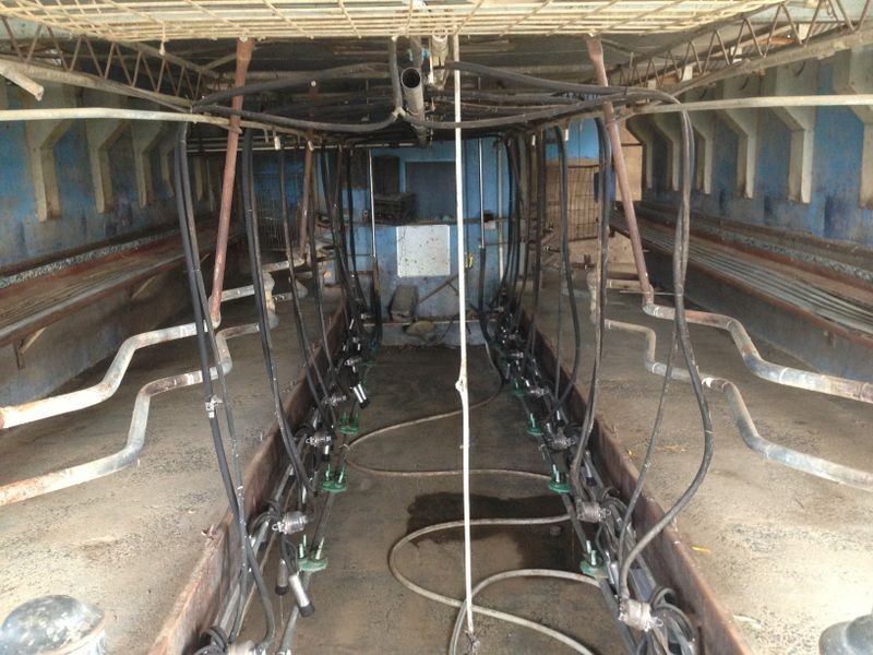 1325 Echuca Road, Undera VIC 3629