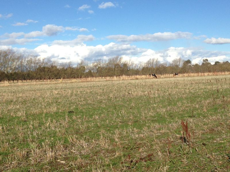 1325 Echuca Road, Undera VIC 3629