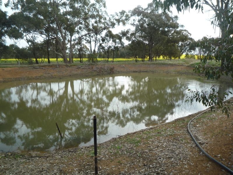 555 Rifle Butts Road, Katandra VIC 3634