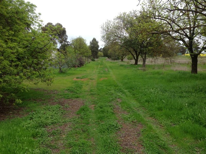 555 Rifle Butts Road, Katandra VIC 3634