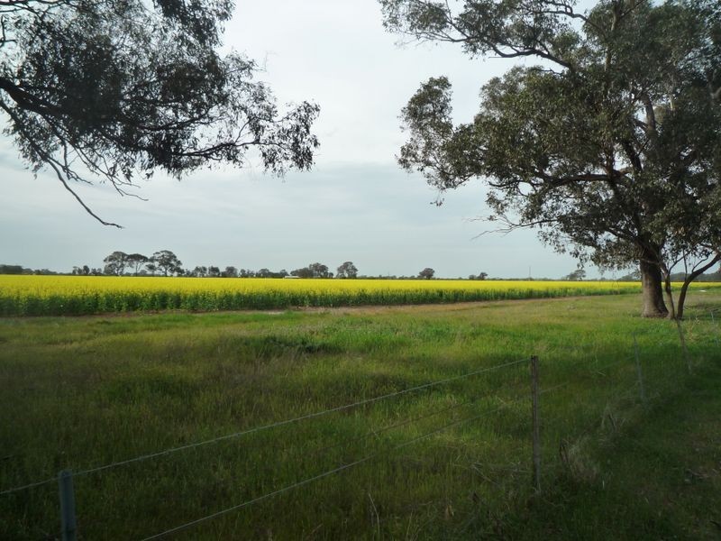 555 Rifle Butts Road, Katandra VIC 3634