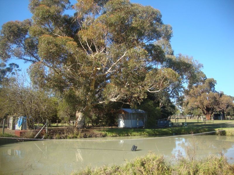 315 Marionvale Road, Katandra West VIC 3634