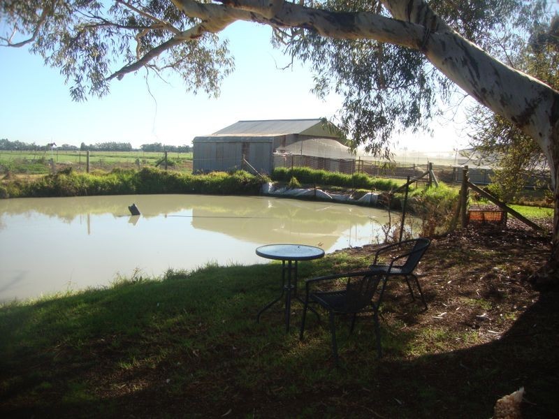 315 Marionvale Road, Katandra West VIC 3634