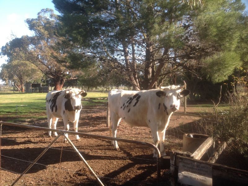 315 Marionvale Road, Katandra West VIC 3634