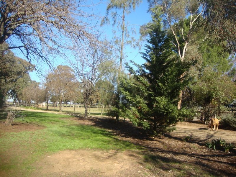 315 Marionvale Road, Katandra West VIC 3634