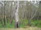 Shepparton VIC 3630