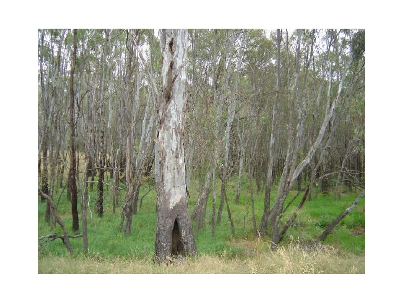 Shepparton VIC 3630