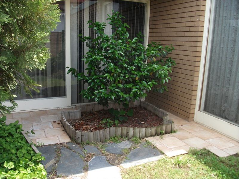 92 Balaclava Road, Shepparton VIC 3630