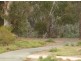 Shepparton VIC 3630