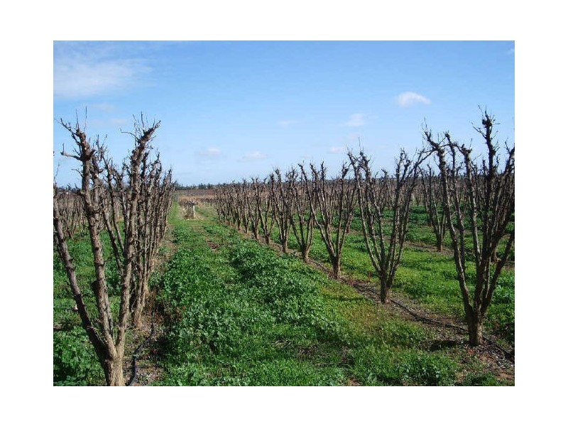 370 Tresco West Road, Tresco West VIC 3584