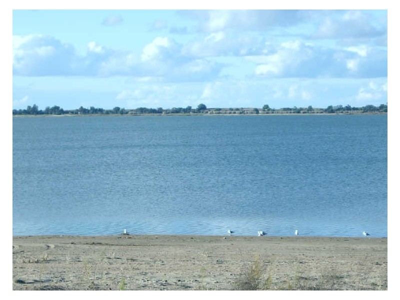 149 Murray Valley Highway, Lake Boga VIC 3584