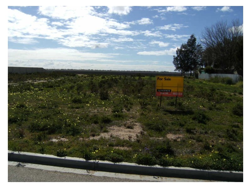 149 Murray Valley Highway, Lake Boga VIC 3584