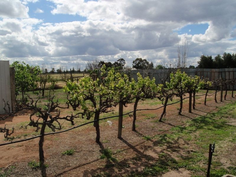 7 Bombardieri Lane, Swan Hill VIC 3585