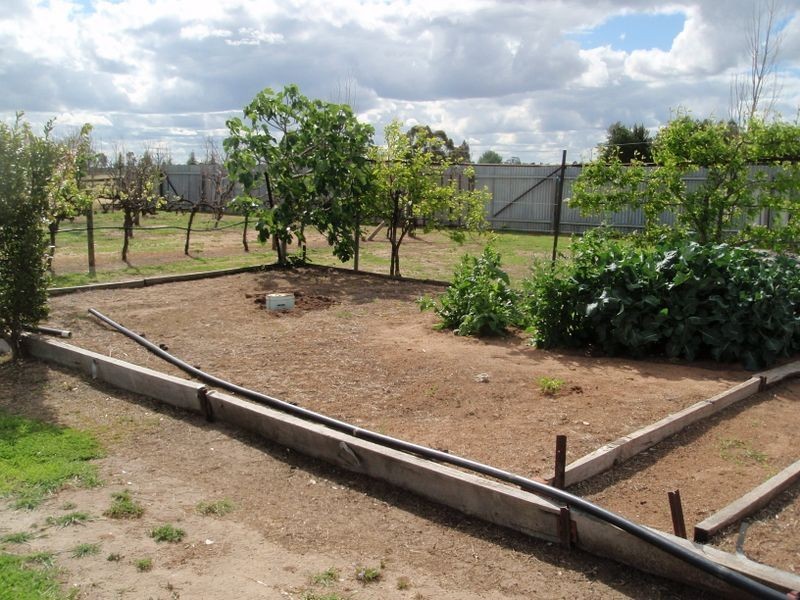 7 Bombardieri Lane, Swan Hill VIC 3585