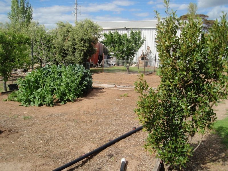 7 Bombardieri Lane, Swan Hill VIC 3585