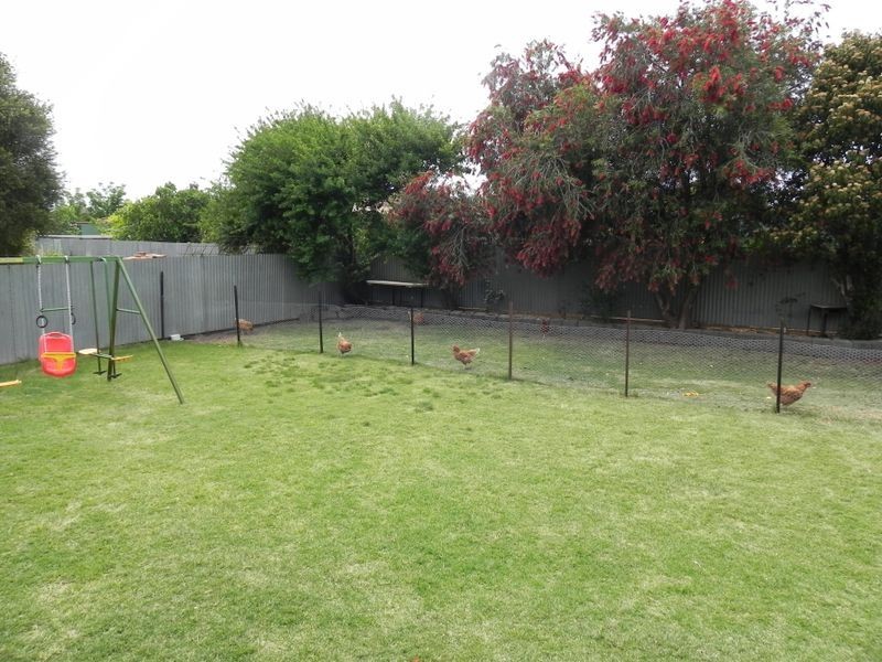 19 Holloway Grove, Swan Hill VIC 3585