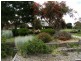 391 Lakeside Drive, Lake Boga VIC 3584