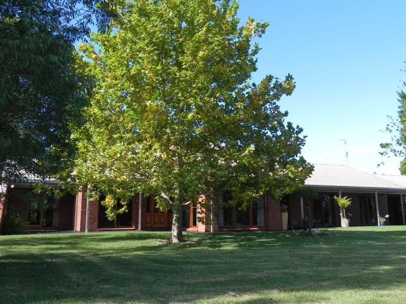 97 Yana Street, Swan Hill VIC 3585