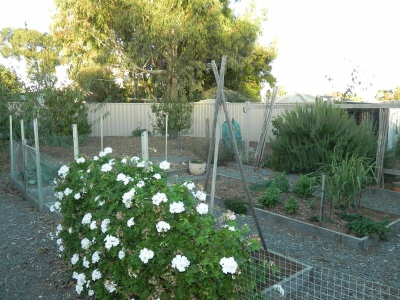 1 Sea Lake Road, Swan Hill VIC 3585