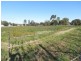 7 Stradbroke Avenue, Nyah VIC 3594
