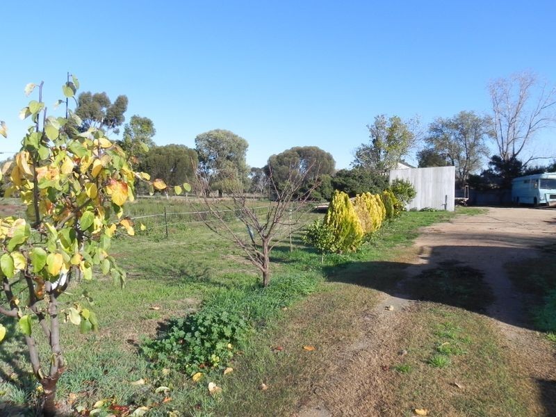 7 Stradbroke Avenue, Nyah VIC 3594