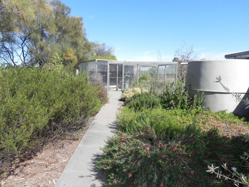 32 McFarlane Road, Swan Hill VIC 3585