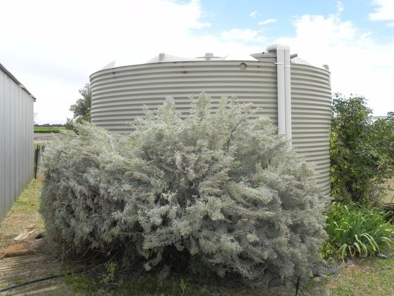 22 Algie Road, Wood Wood VIC 3596