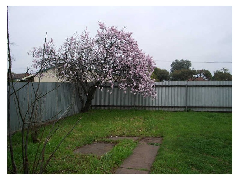 6 Dunstone Street, Swan Hill VIC 3585