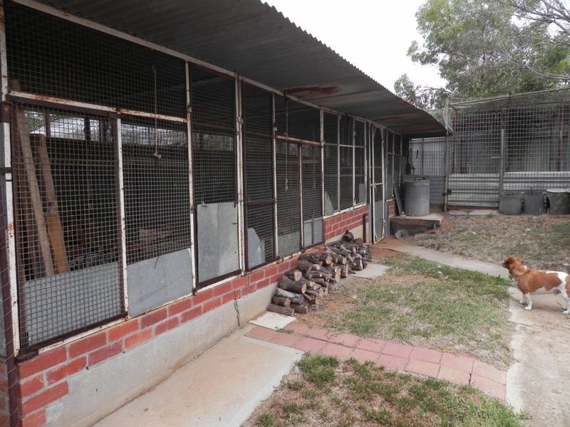 15 River Street, Nyah VIC 3594