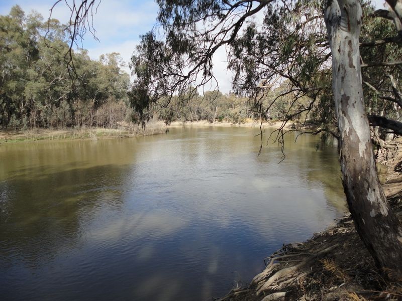 25 River Street, Nyah VIC 3594