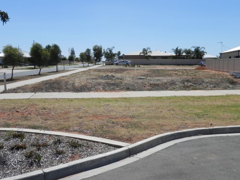 53 Parkside Avenue, Swan Hill VIC 3585