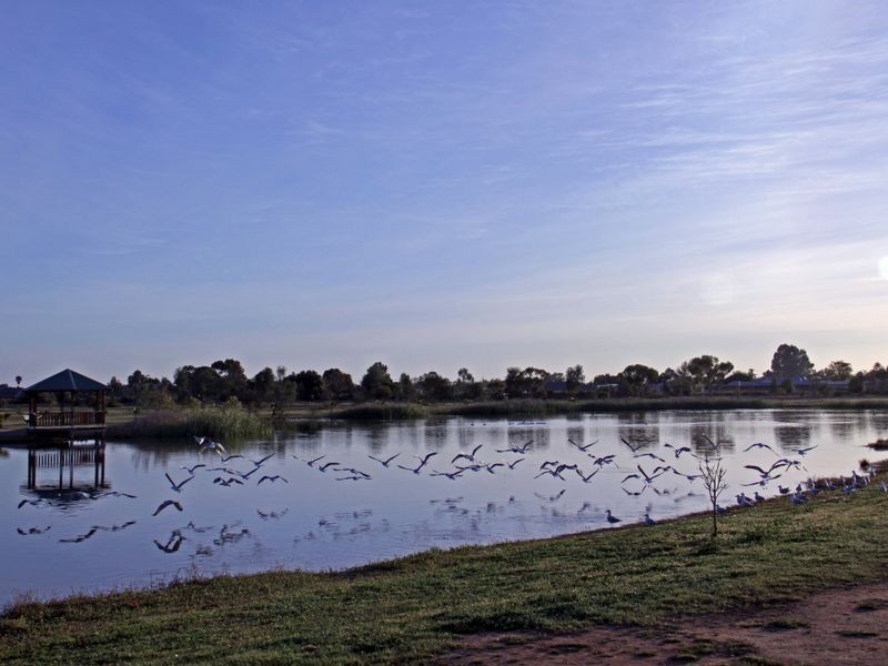 53 Parkside Avenue, Swan Hill VIC 3585