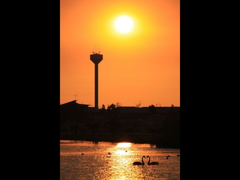 53 Parkside Avenue, Swan Hill VIC 3585