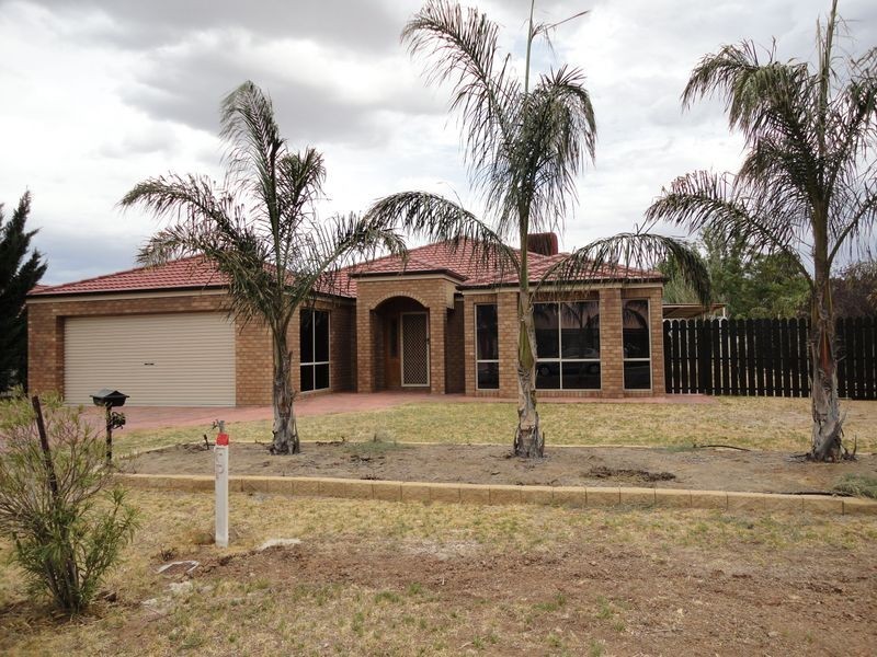17 Nalder Drive, Swan Hill VIC 3585
