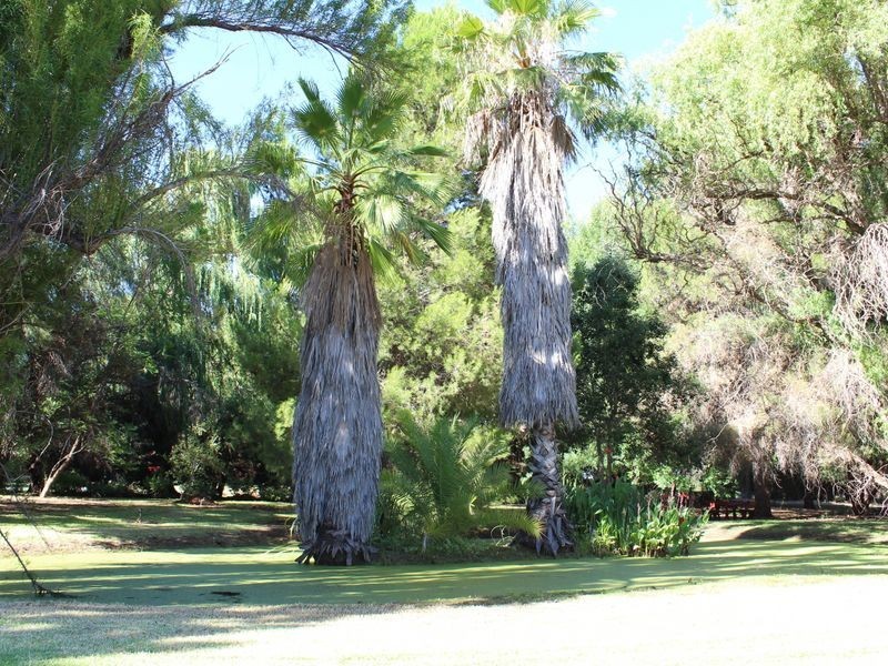 44-50 Werril Street, Swan Hill VIC 3585