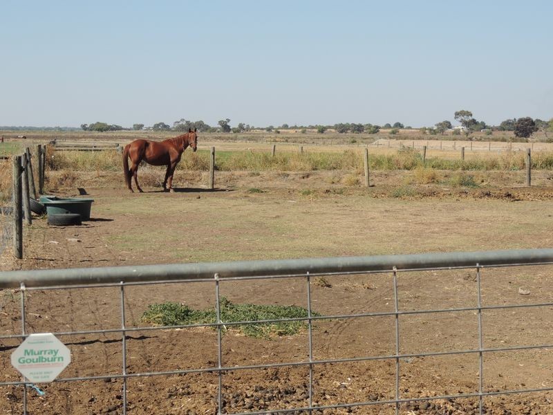 496 Creamery Road, Bulga VIC 3586