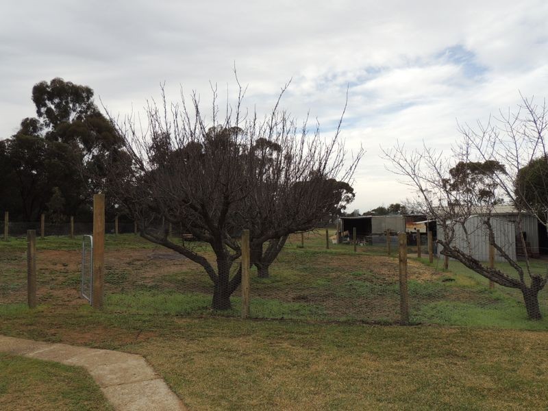 88 Donald Street, Nyah West VIC 3595