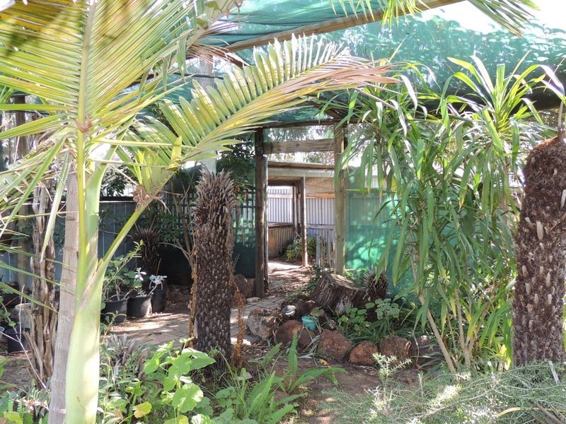 24 Palaroo Street, Swan Hill VIC 3585