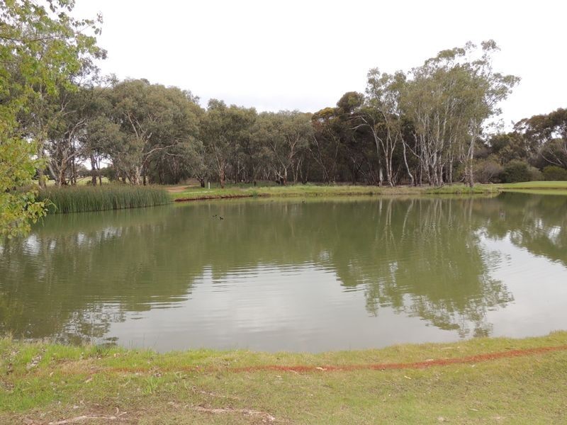 10 Goldfinch Court, Murray Downs VIC 3585