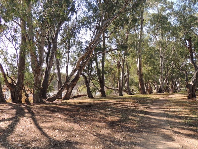 10 Cohn Street, Swan Hill VIC 3585