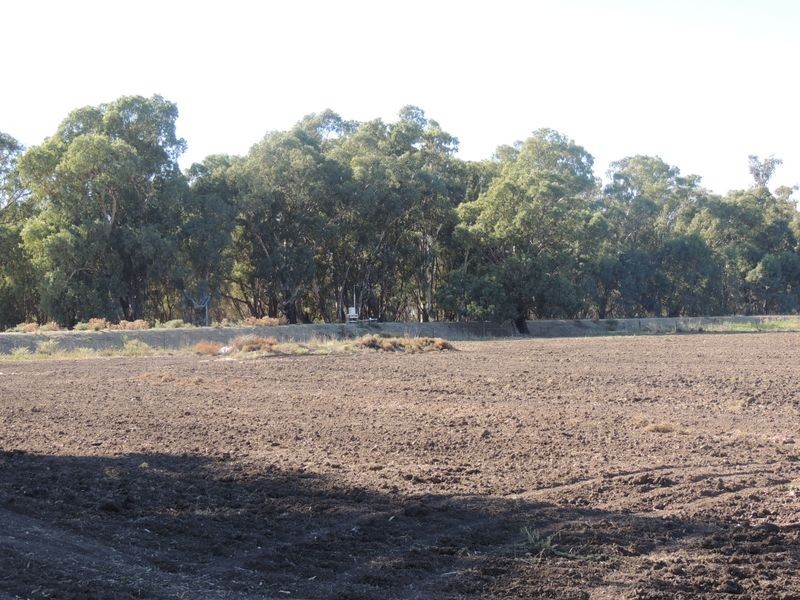 554 Tyntynder Road, Tyntynder VIC 3586