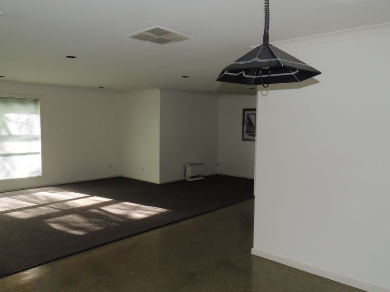 19 Wilkins Grove, Swan Hill VIC 3585