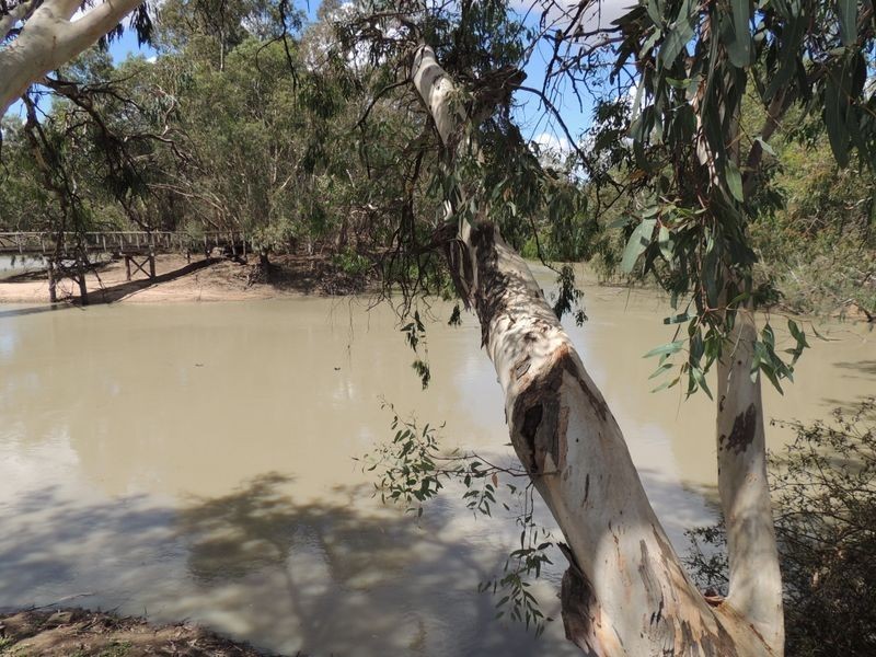 6B El Alamein Avenue, Swan Hill VIC 3585