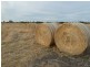 50 Cox Road, Koraleigh NSW 2735