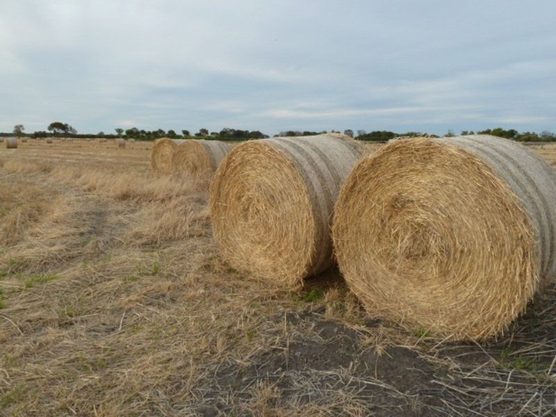 50 Cox Road, Koraleigh NSW 2735