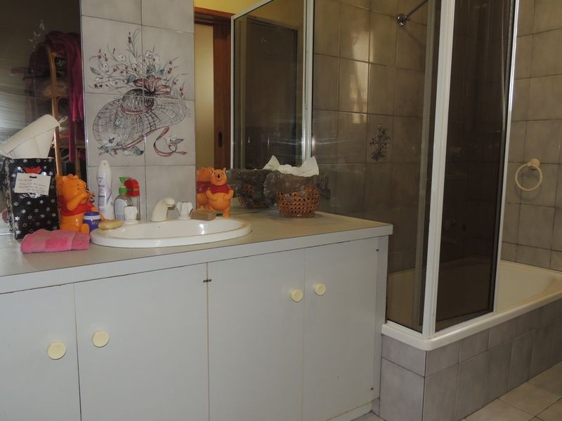 19 Kerang Street, Lake Boga VIC 3584