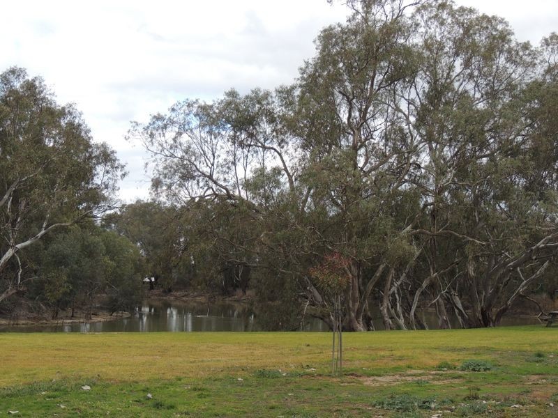 16 Bell Street, Nyah VIC 3594